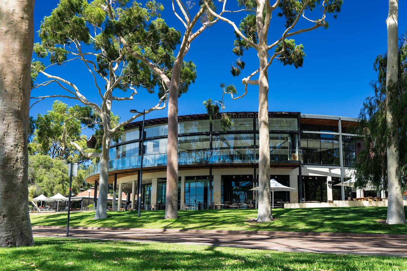 Perth's Year-Round Guide: Truffles, Tulips, Festivals Await