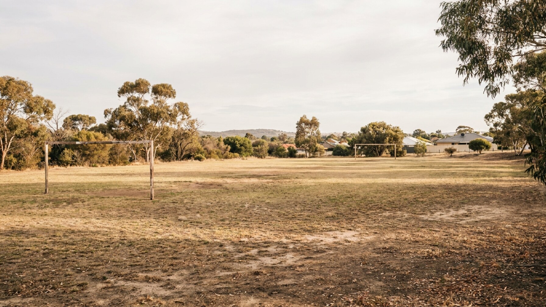 Perth Schools Compete in State Athletics Finals at Perry Lakes July 25