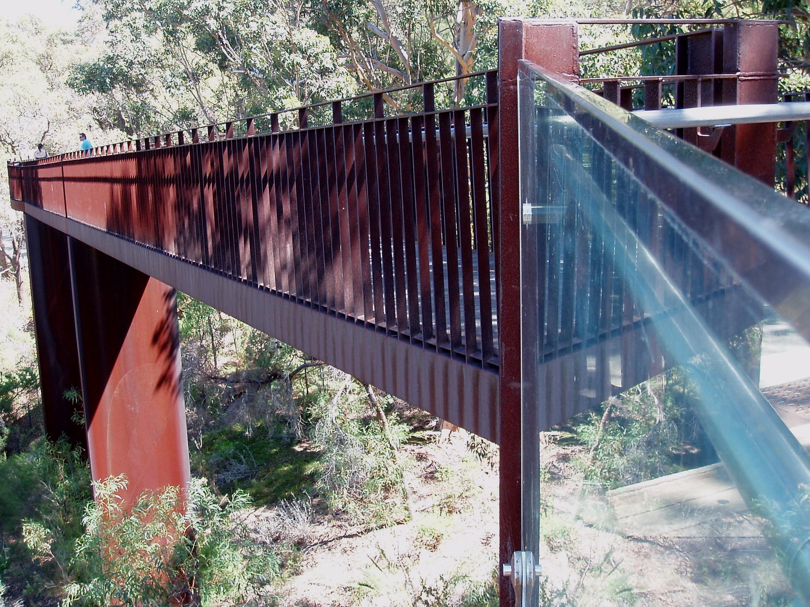 Kings Park and Botanic Garden: a visitor's guide to Perth's iconic parkland, including the Federation Walkway, guided walks and wildflowers